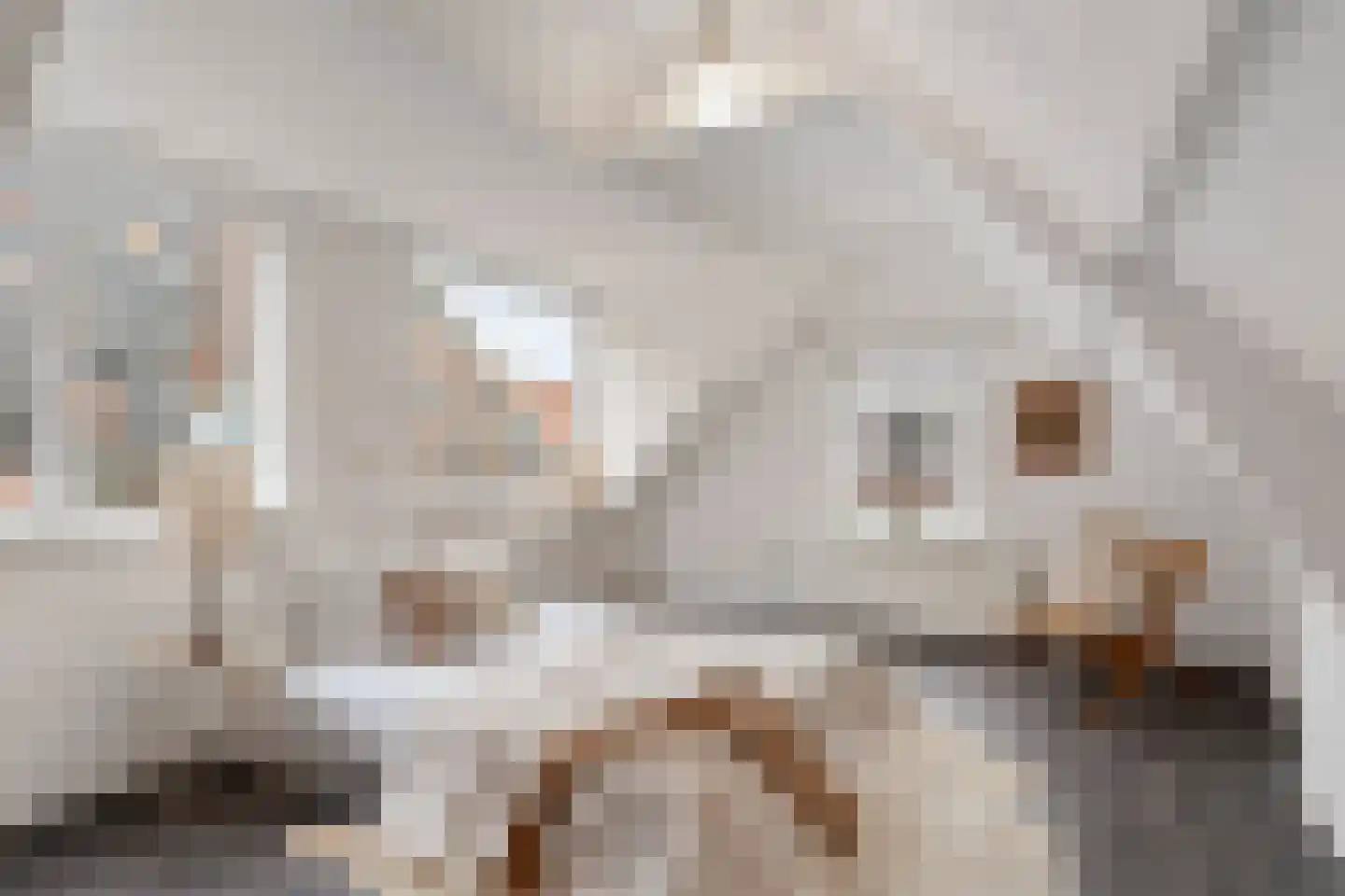 Meekrapstraat 34 A Rotterdam thumbnail 31