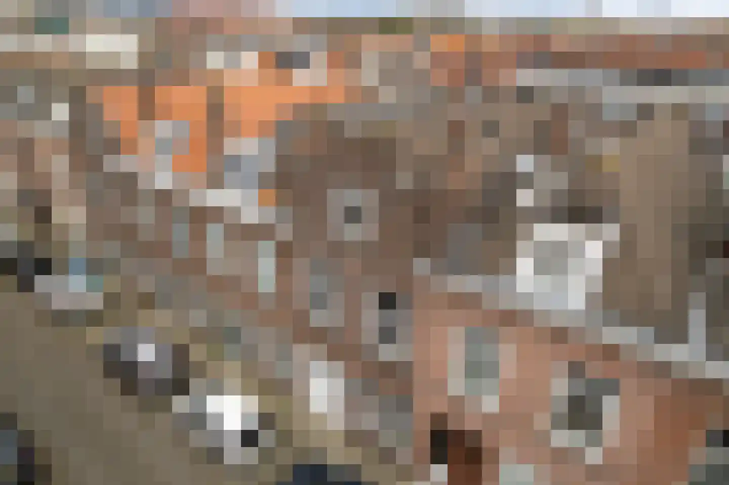 Meekrapstraat 34 A Rotterdam thumbnail 4