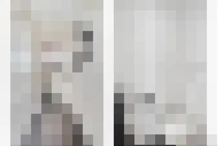 Meekrapstraat 36 Bruinisse thumbnail 10