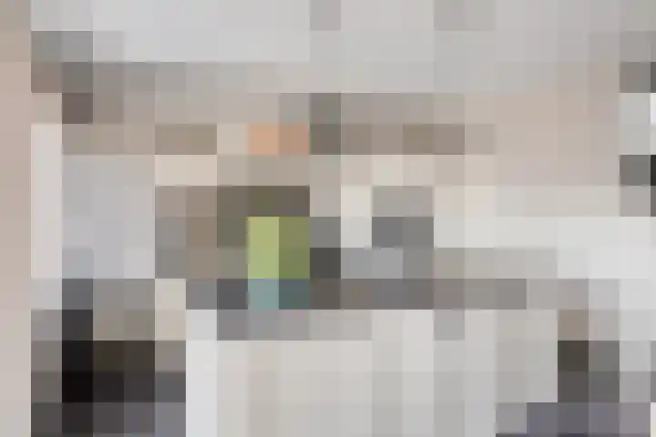 Meekrapstraat 36 Bruinisse thumbnail 12