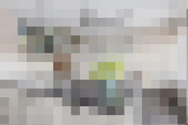 Meekrapstraat 36 Bruinisse thumbnail 13
