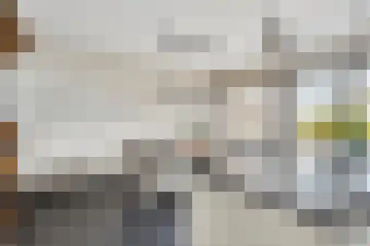 Meekrapstraat 36 Bruinisse thumbnail 14