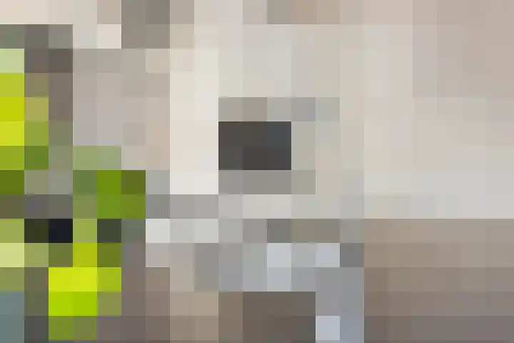 Meekrapstraat 36 Bruinisse thumbnail 15