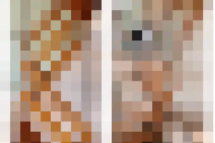 Meekrapstraat 36 Bruinisse thumbnail 20
