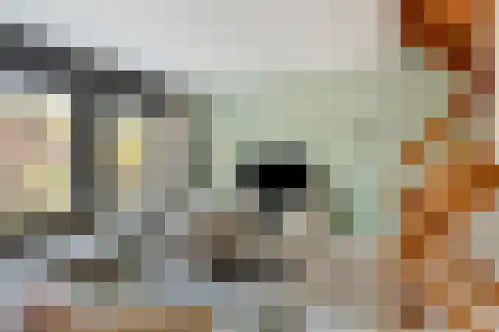 Meekrapstraat 36 Bruinisse thumbnail 21