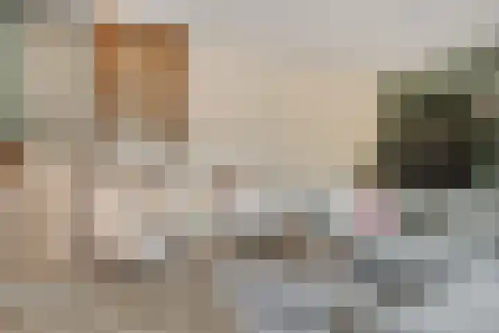 Meekrapstraat 36 Bruinisse thumbnail 22