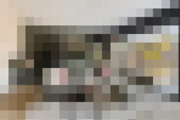Meekrapstraat 36 Bruinisse thumbnail 23