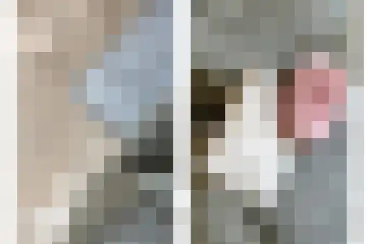 Meekrapstraat 36 Bruinisse thumbnail 25