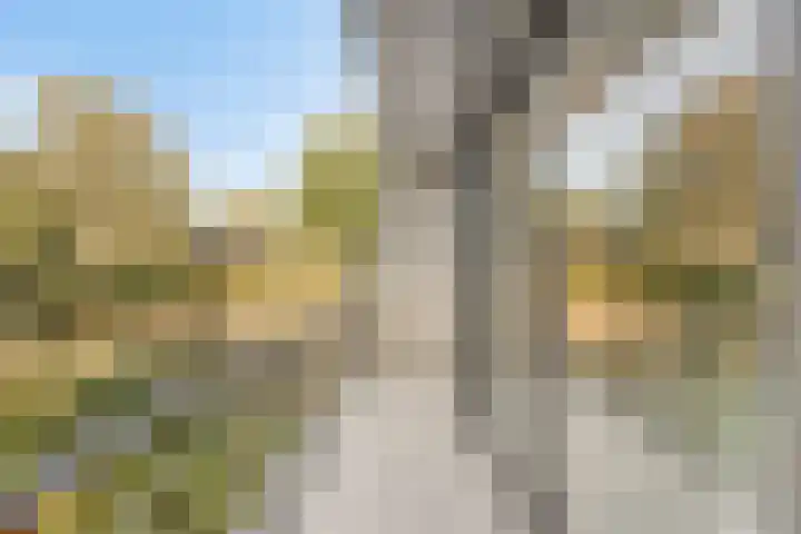 Meekrapstraat 36 Bruinisse thumbnail 26