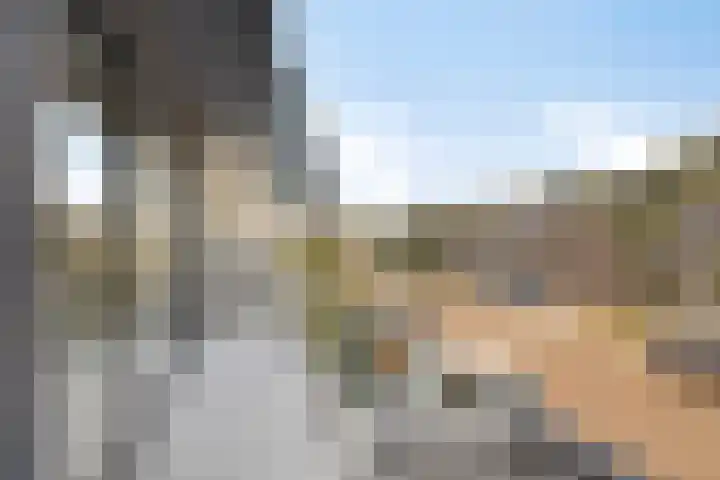 Meekrapstraat 36 Bruinisse thumbnail 27