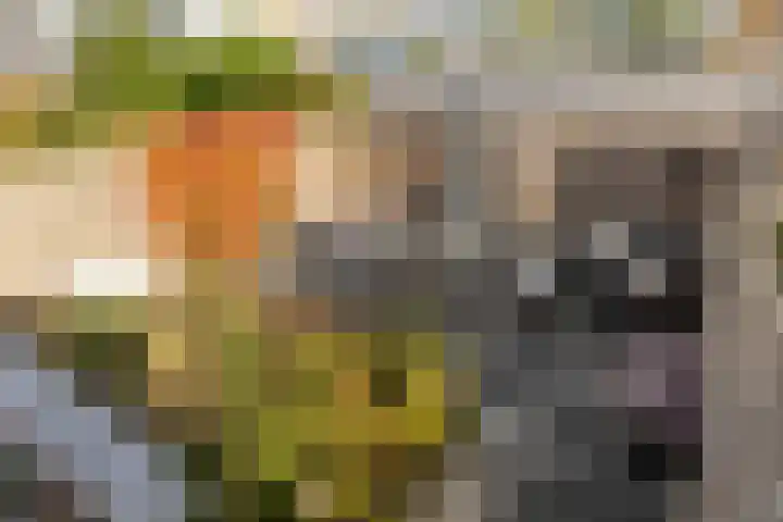 Meekrapstraat 36 Bruinisse thumbnail 4