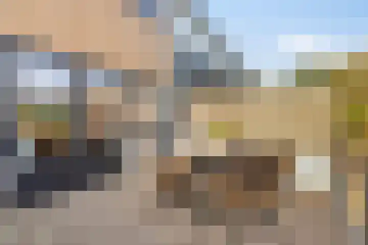 Meekrapstraat 36 Bruinisse thumbnail 43