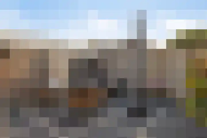 Meekrapstraat 36 Bruinisse thumbnail 44