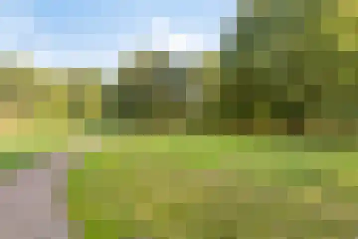 Meekrapstraat 36 Bruinisse thumbnail 47