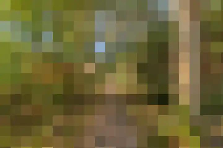 Meekrapstraat 36 Bruinisse thumbnail 48