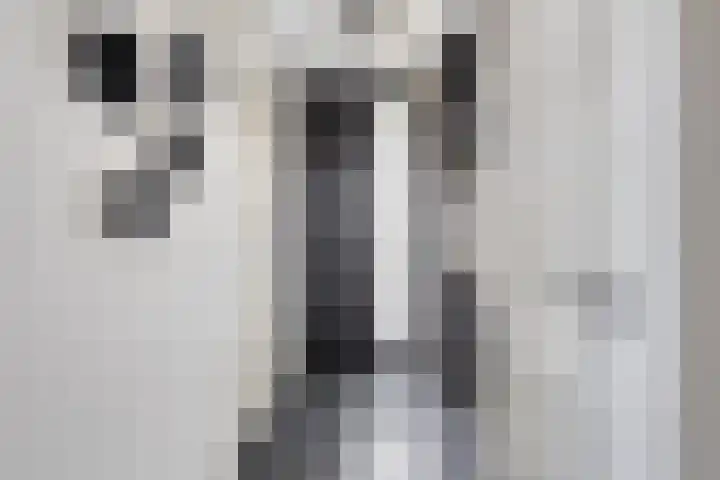Meekrapstraat 36 Bruinisse thumbnail 9