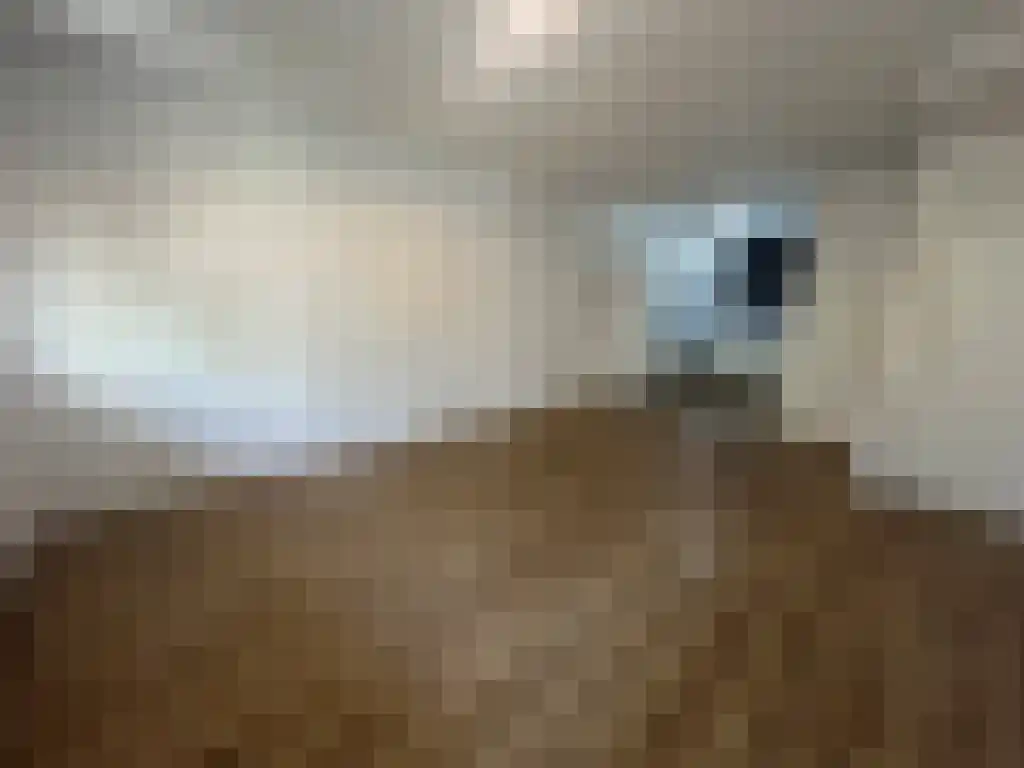 Meekrapstraat 6 Rotterdam thumbnail 6