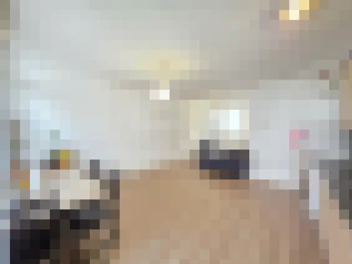 Meekrapstraat Rotterdam thumbnail 4