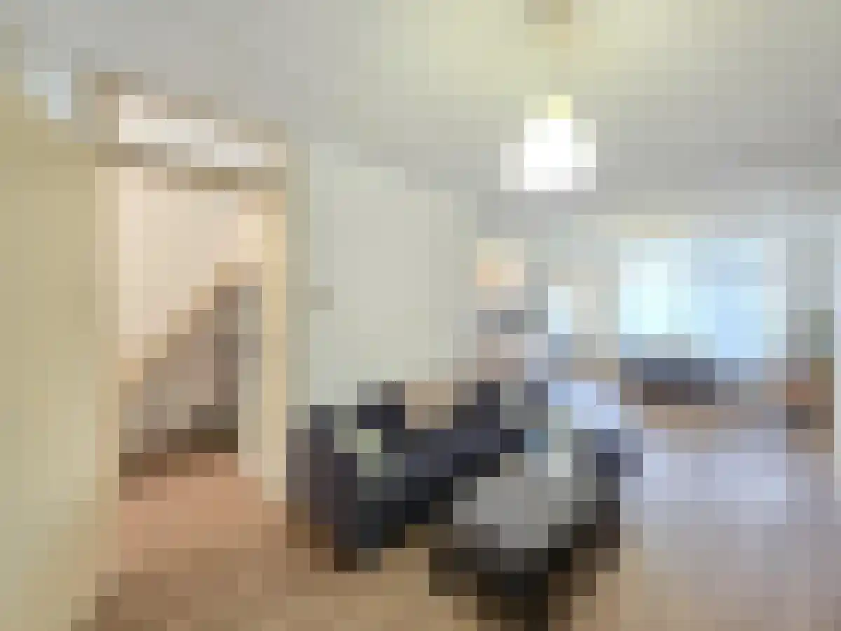 Meekrapstraat Rotterdam thumbnail 5