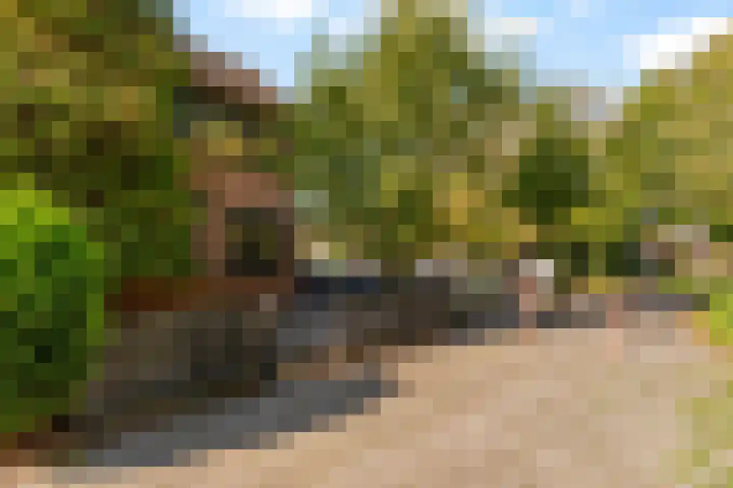 Meelbes 16 Rotterdam thumbnail 10