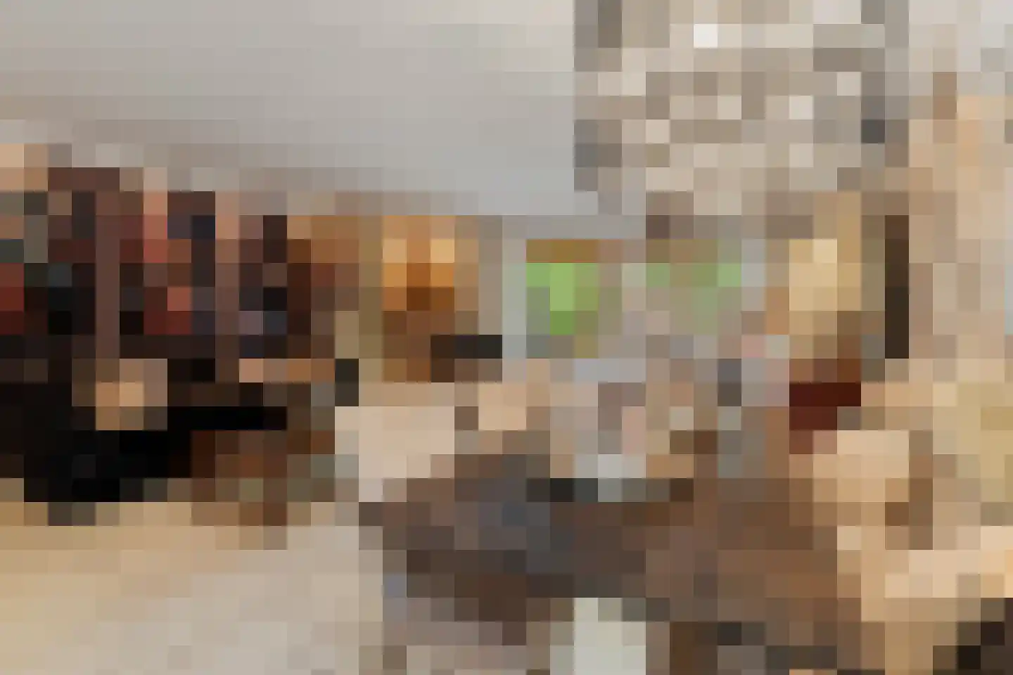 Meelbes 16 Rotterdam thumbnail 13