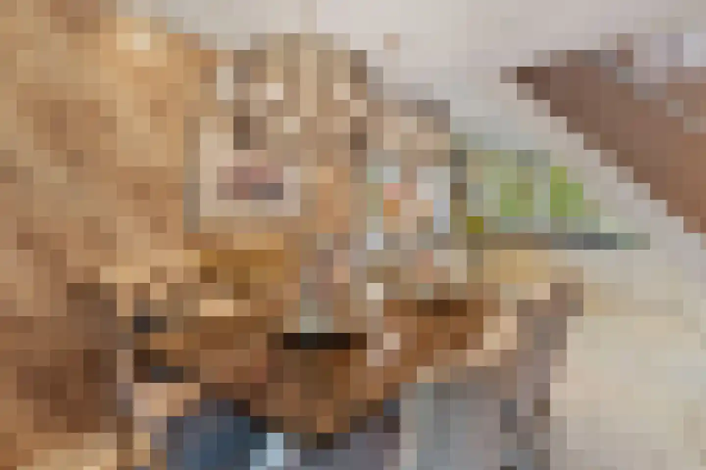 Meelbes 16 Rotterdam thumbnail 15