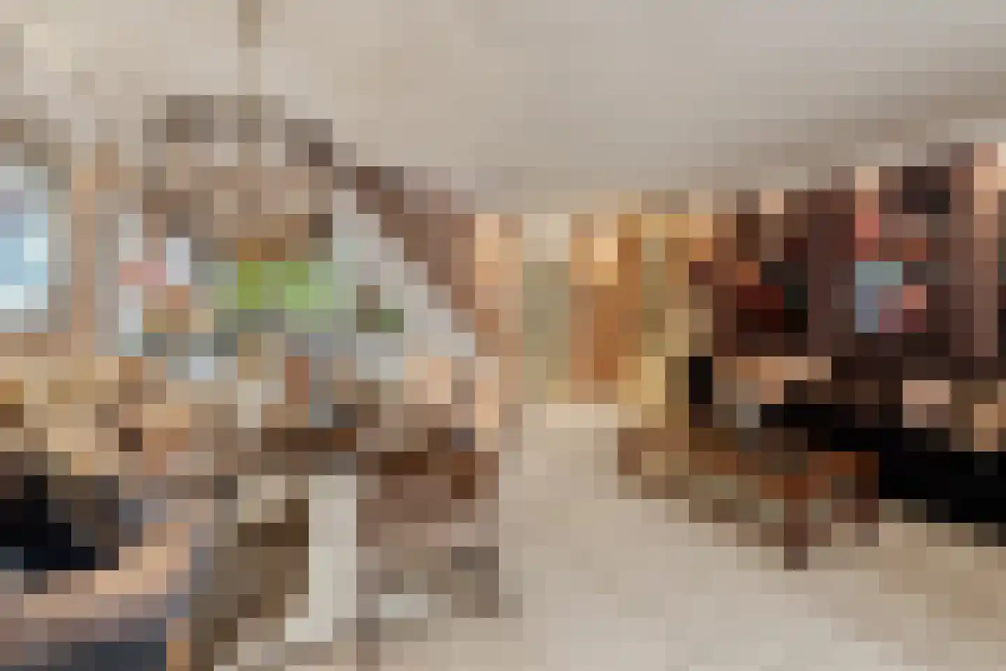 Meelbes 16 Rotterdam thumbnail 16