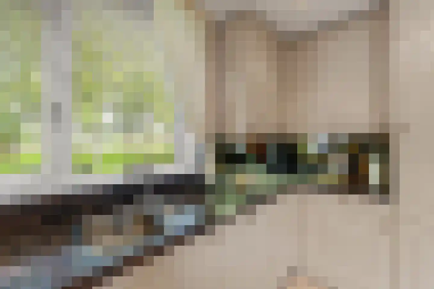Meelbes 16 Rotterdam thumbnail 19