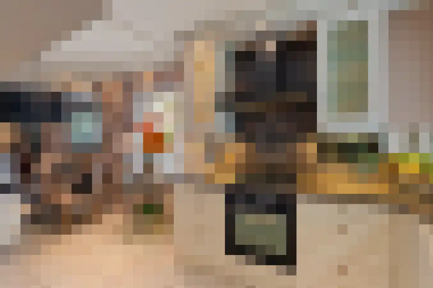 Meelbes 16 Rotterdam thumbnail 20