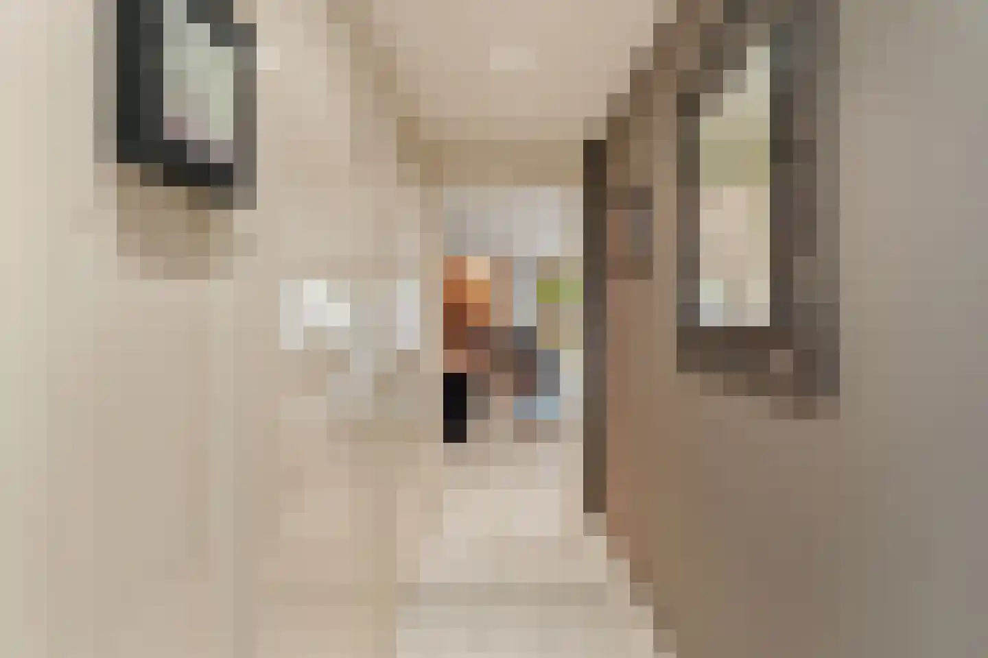 Meelbes 16 Rotterdam thumbnail 22
