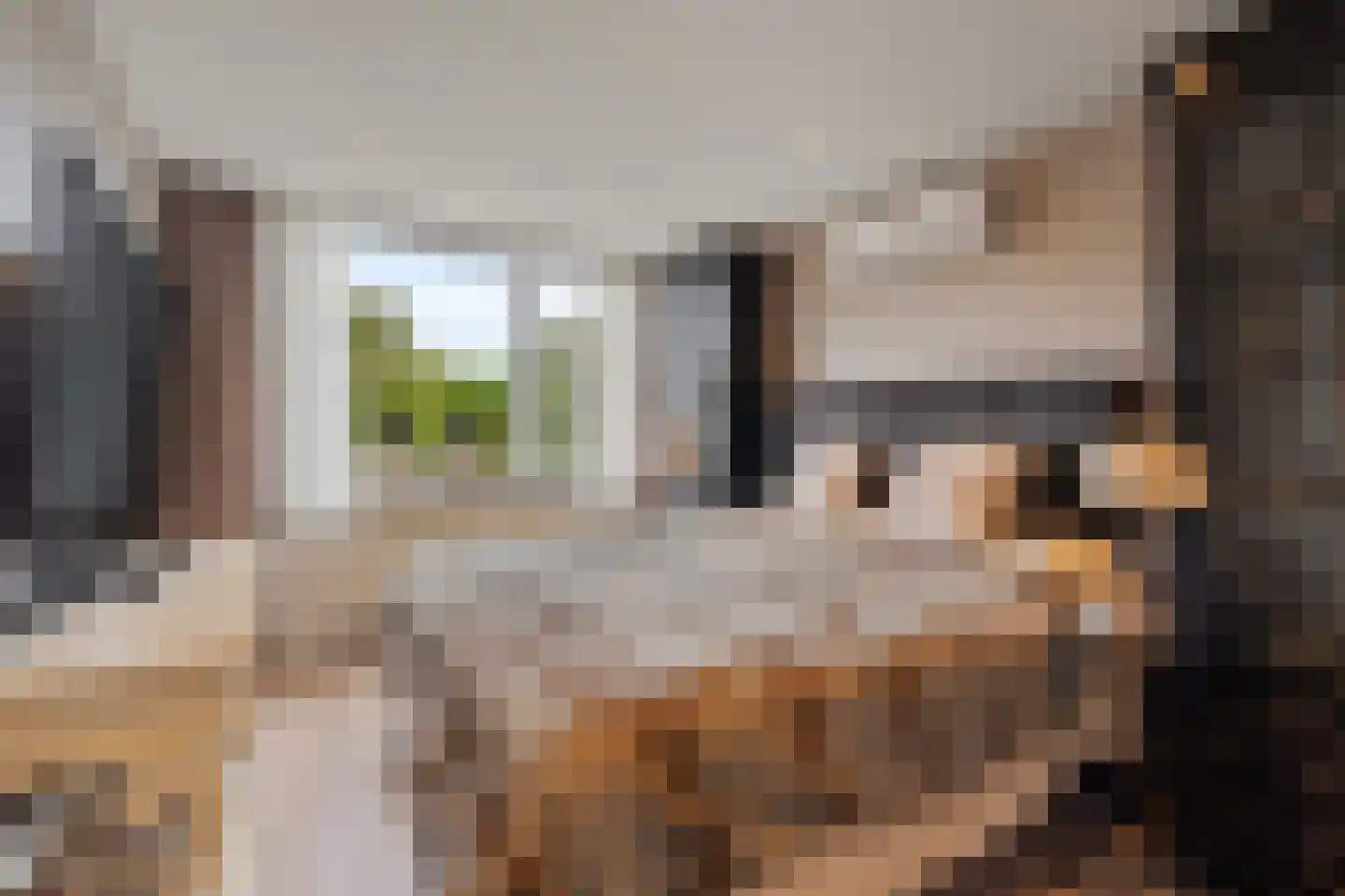 Meelbes 16 Rotterdam thumbnail 23