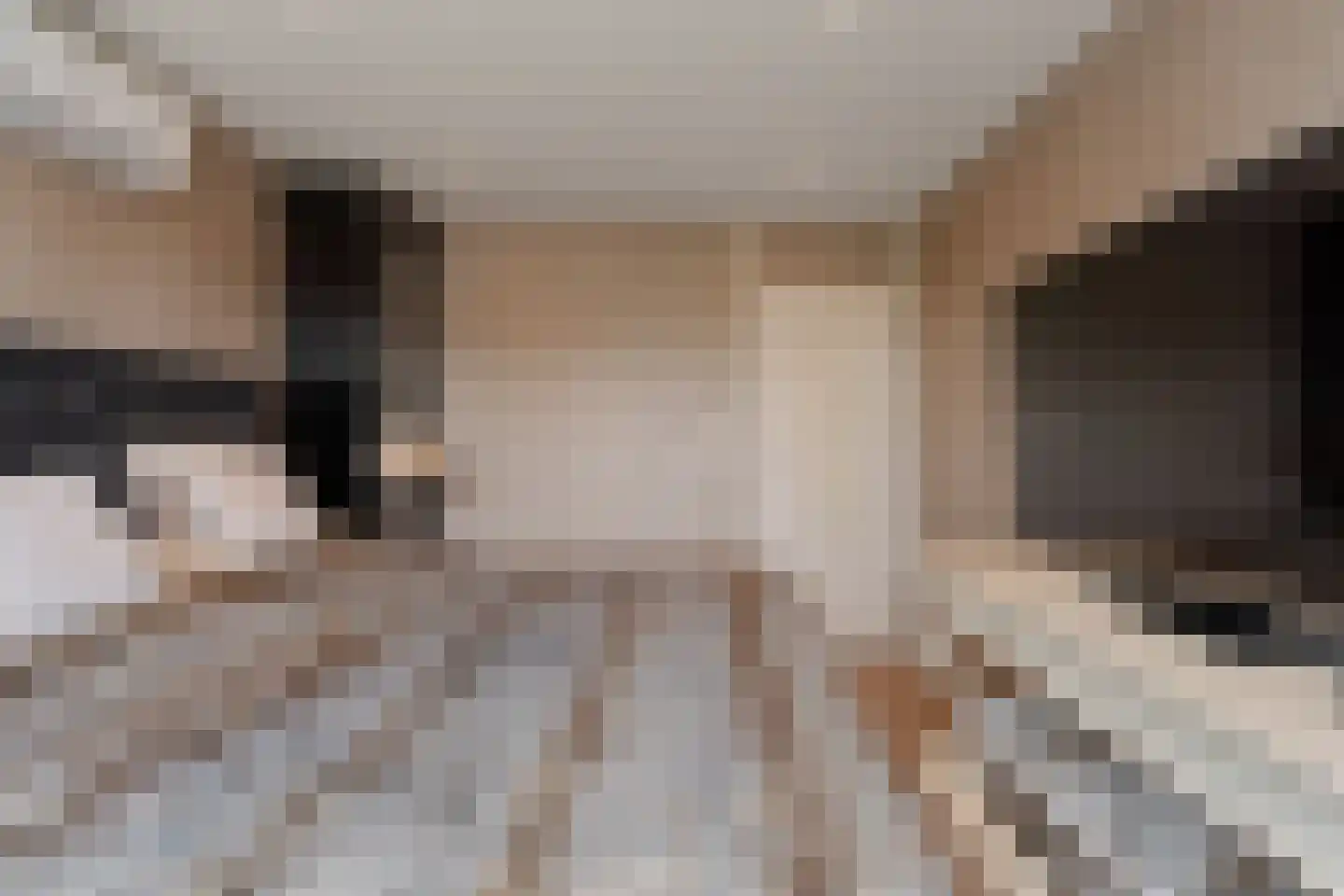 Meelbes 16 Rotterdam thumbnail 24