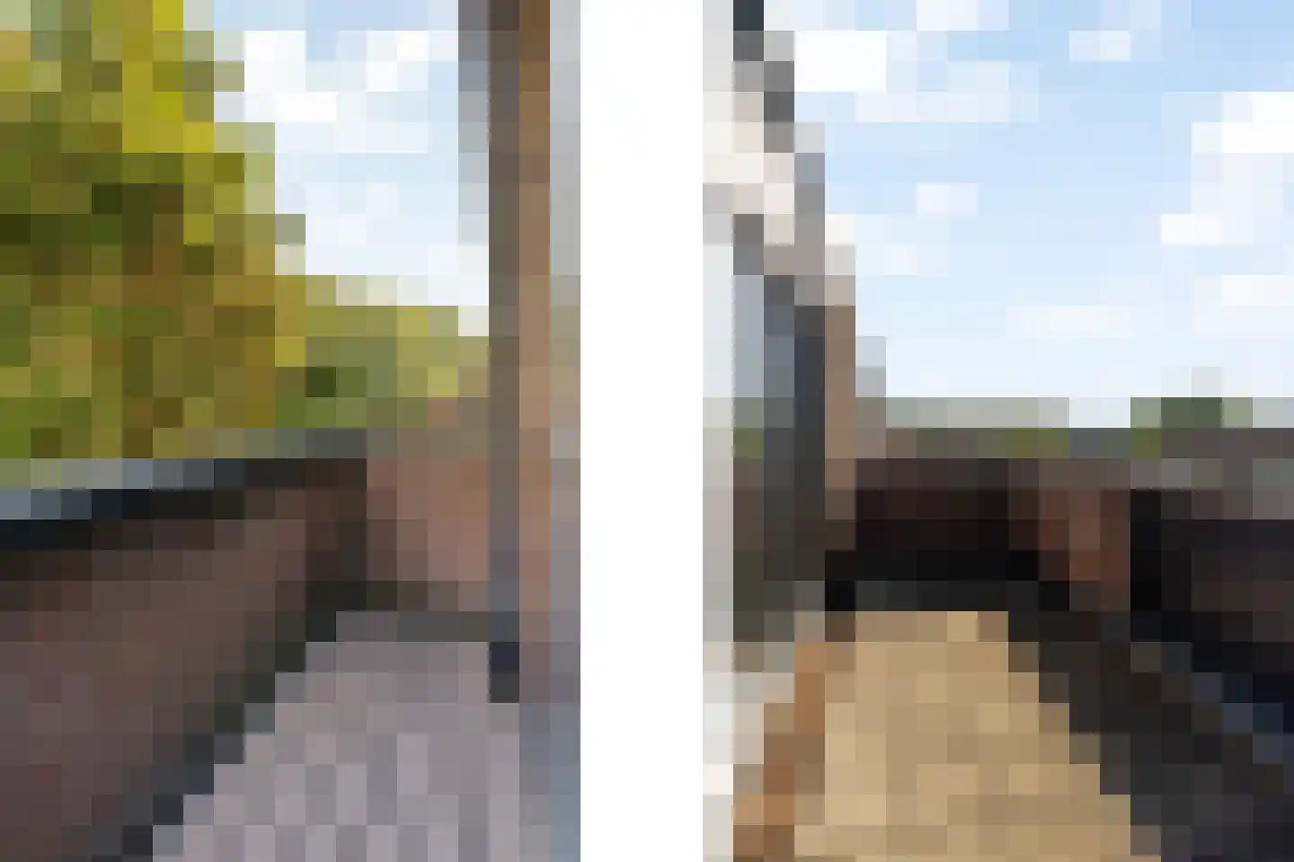 Meelbes 16 Rotterdam thumbnail 33
