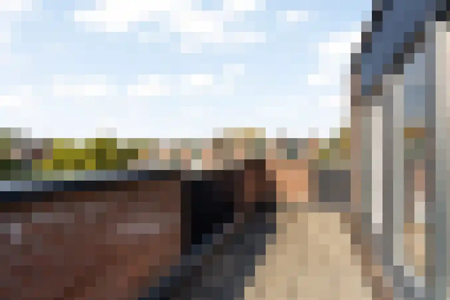 Meelbes 16 Rotterdam thumbnail 37