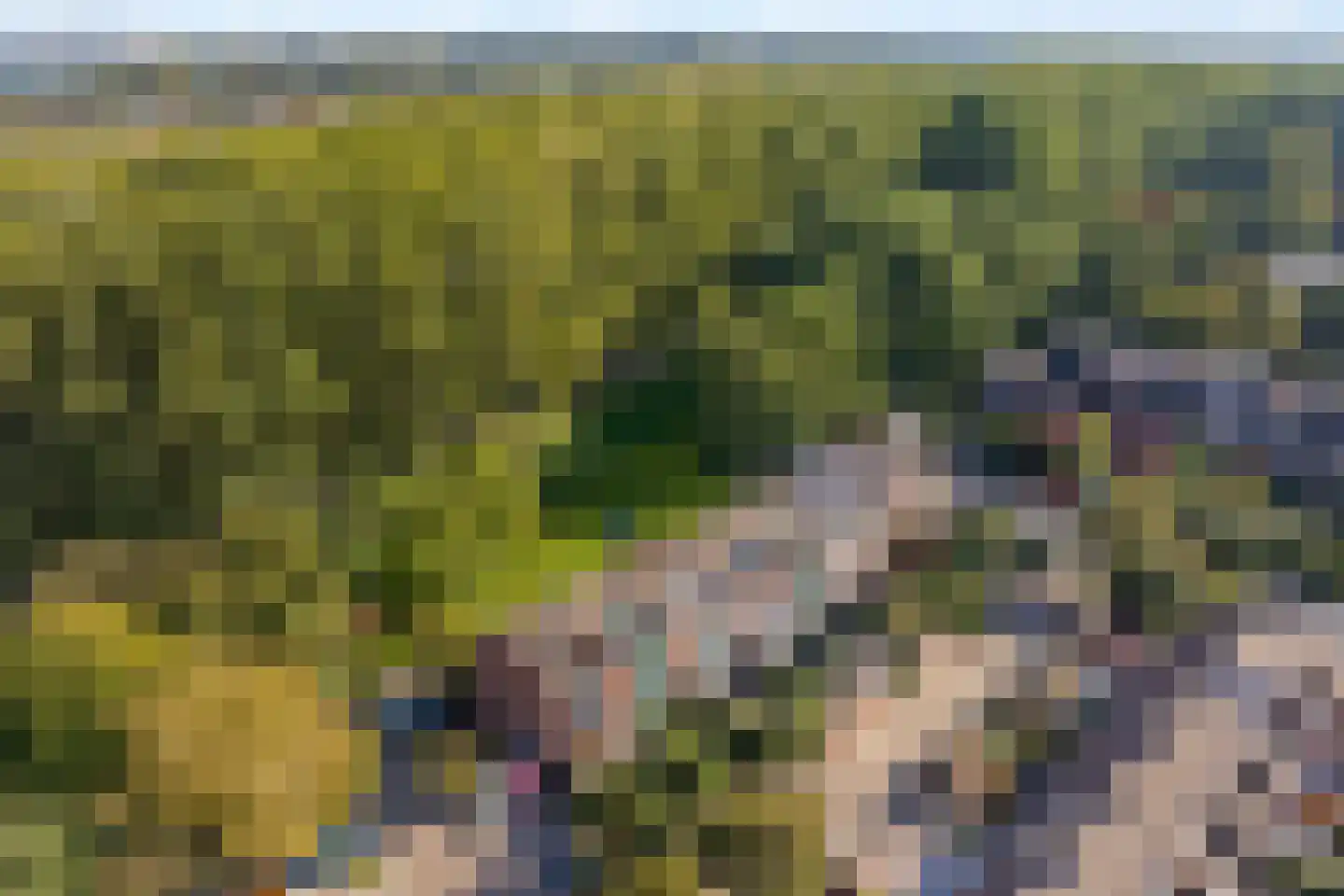 Meelbes 16 Rotterdam thumbnail 38
