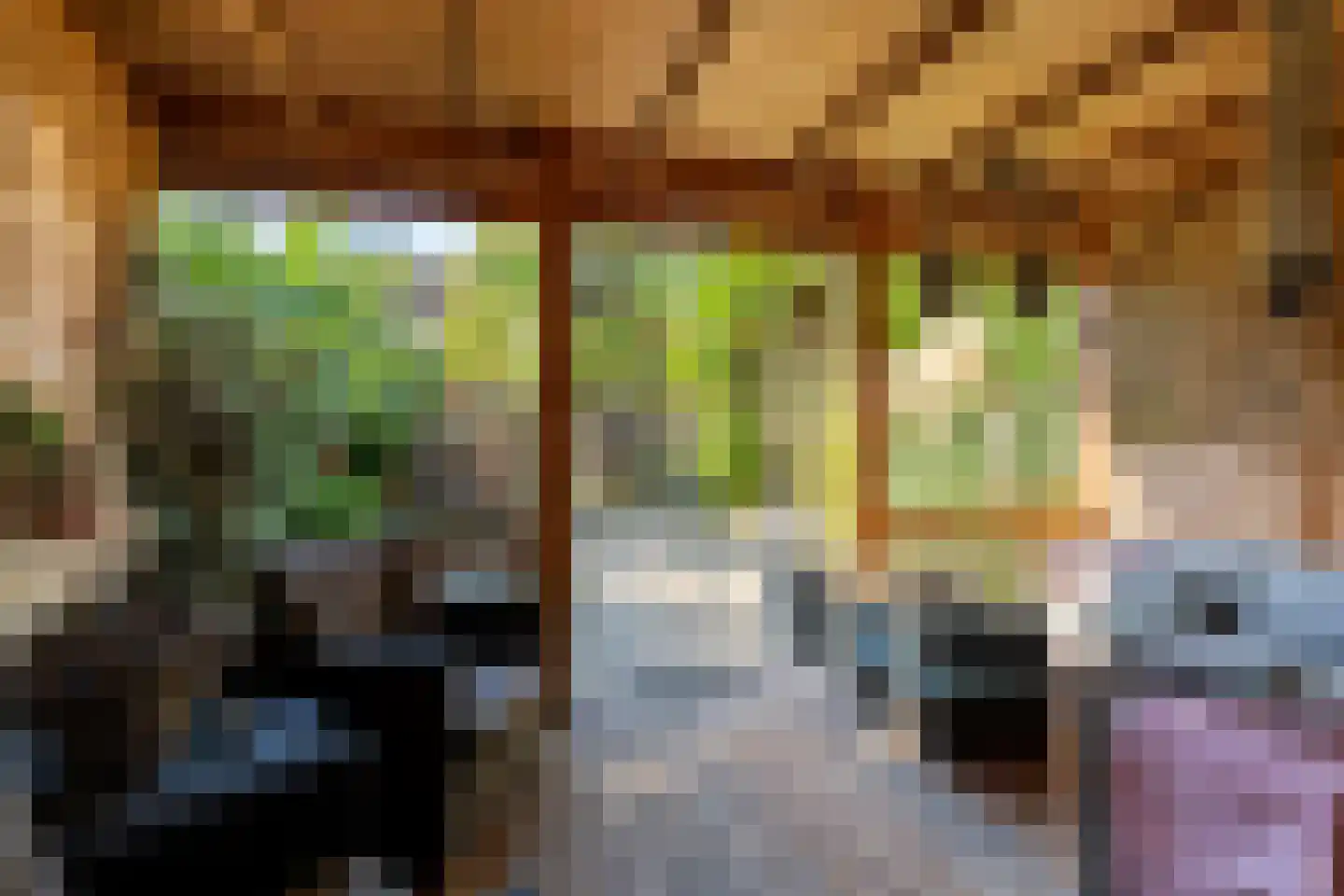 Meelbes 16 Rotterdam thumbnail 39