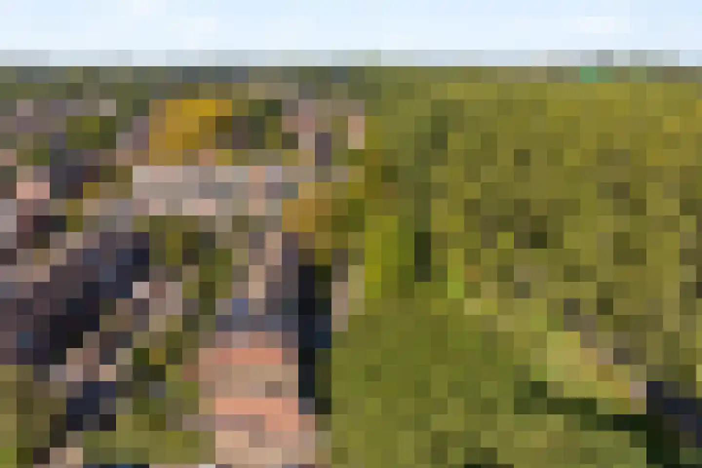 Meelbes 16 Rotterdam thumbnail 46