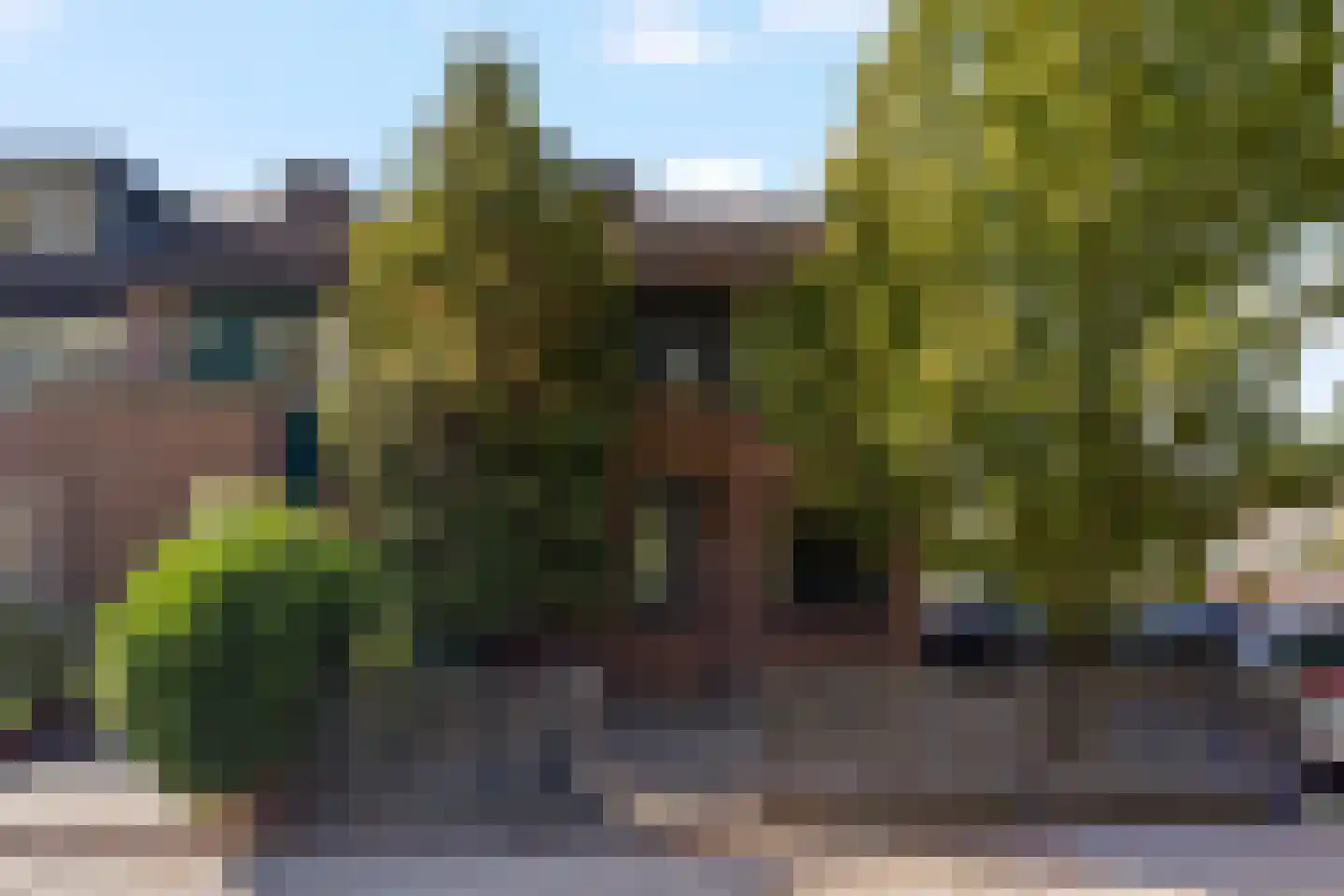 Meelbes 16 Rotterdam thumbnail 7