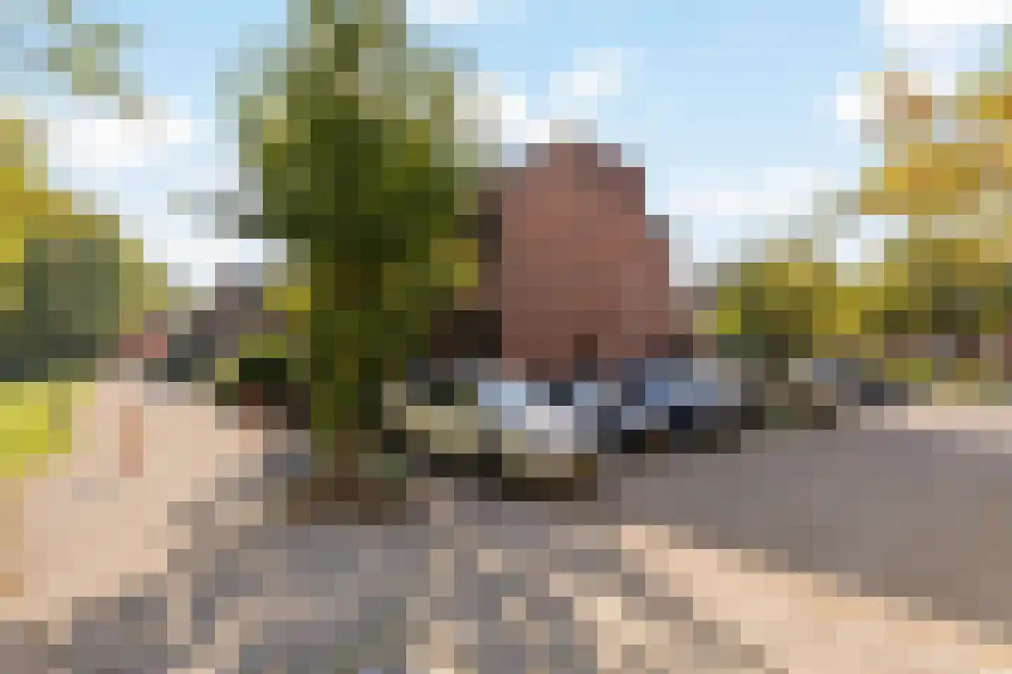 Meelbes 16 Rotterdam thumbnail 9