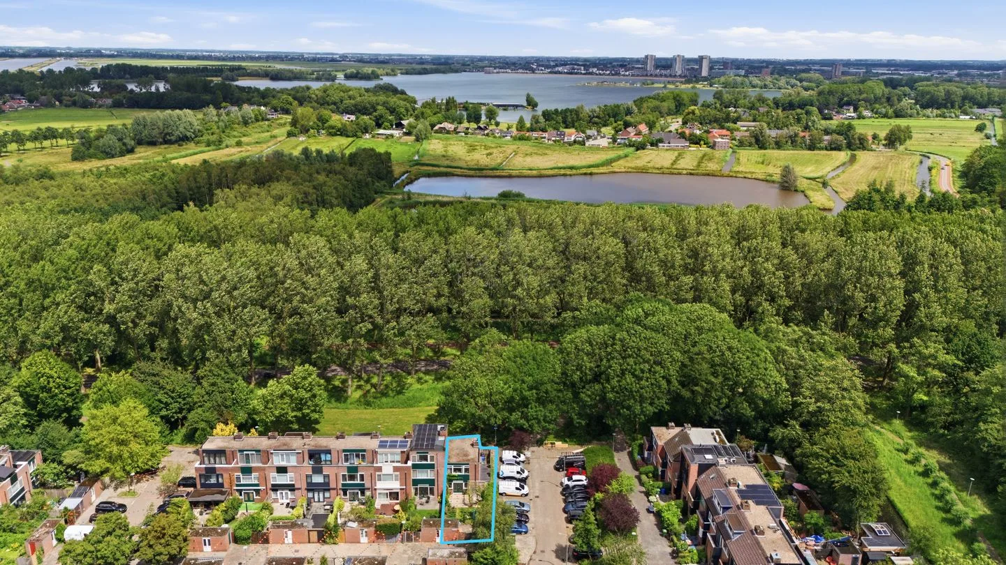 Meelbes 2 Rotterdam foto 2