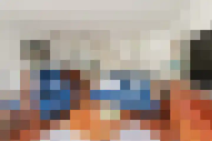 Meelbes 6 Rotterdam thumbnail 10
