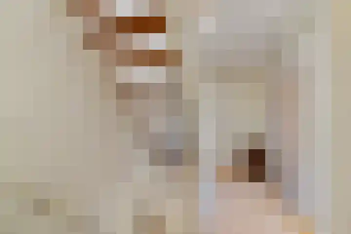 Meelbes 6 Rotterdam thumbnail 13