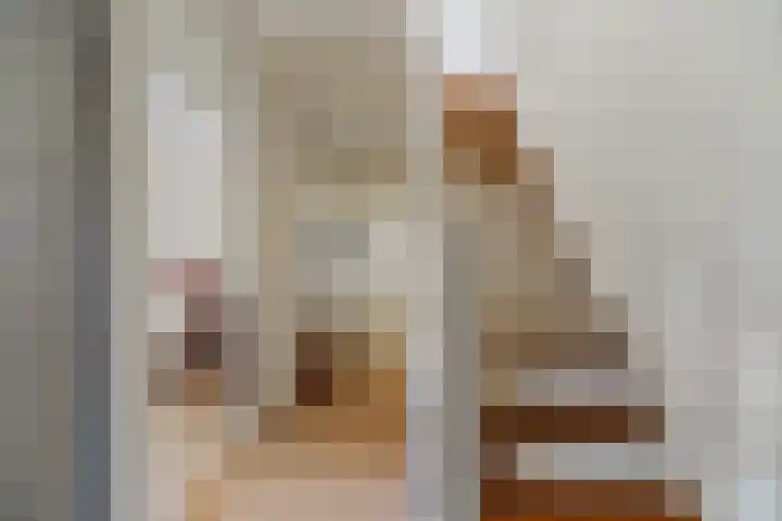 Meelbes 6 Rotterdam thumbnail 22