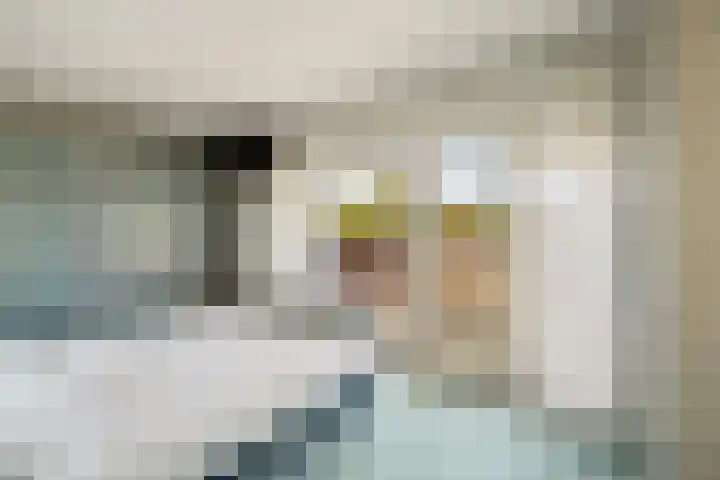 Meelbes 6 Rotterdam thumbnail 23