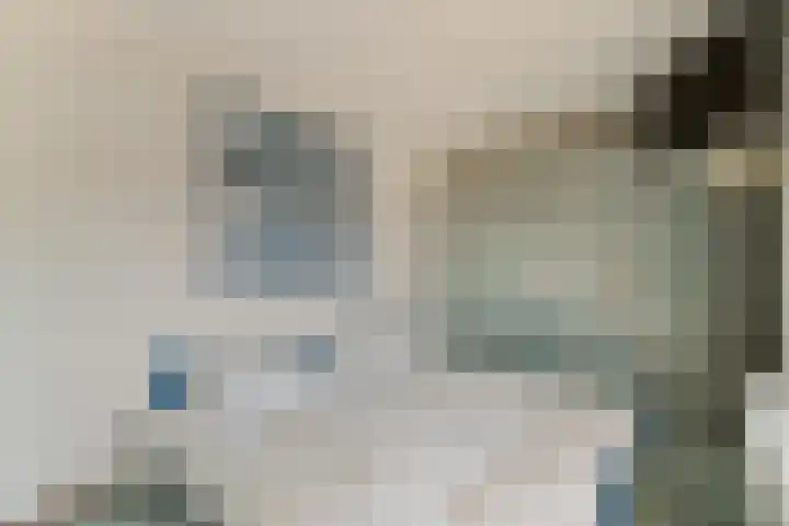 Meelbes 6 Rotterdam thumbnail 24