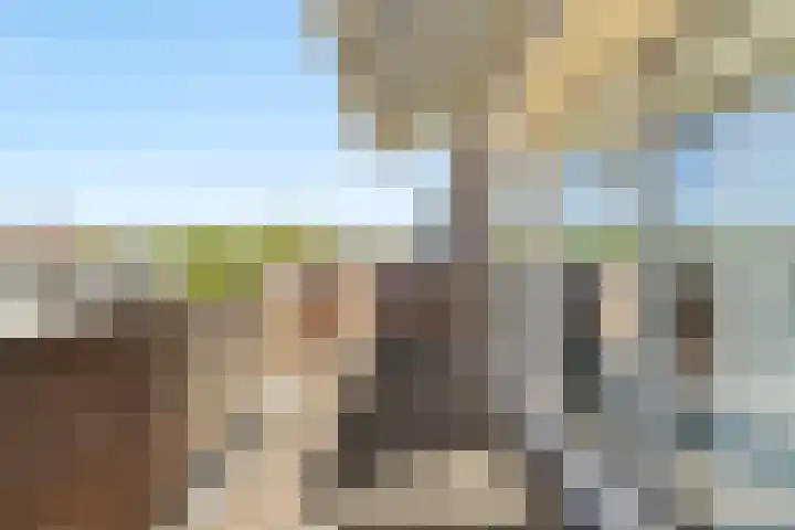 Meelbes 6 Rotterdam thumbnail 26