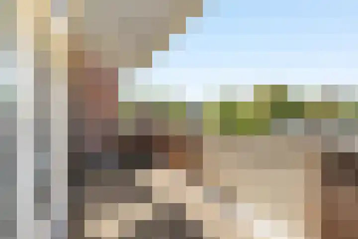 Meelbes 6 Rotterdam thumbnail 27