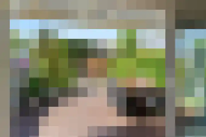 Meelbes 6 Rotterdam thumbnail 29
