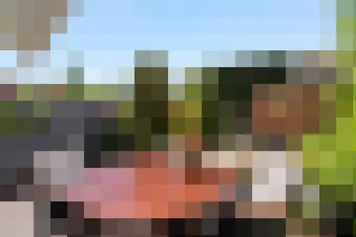 Meelbes 6 Rotterdam thumbnail 30