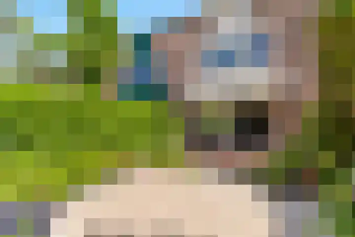 Meelbes 6 Rotterdam thumbnail 31